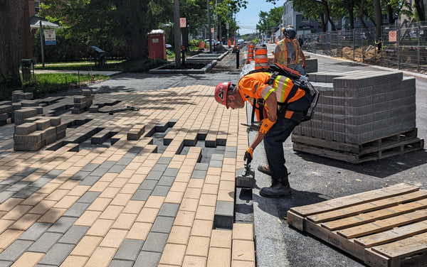 The Biolift Exoskeleton