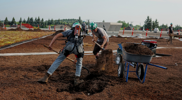 The Biolift Exoskeleton