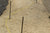 FlexMARKER 13′ Flex Pole